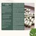  Cupplement Green Tea Extract Capsules 98% L-Theanine 500mg Per Capsule (Multipack) - Buy Online on GoSupps.com