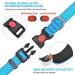 Haapaw Blue Reflective Dog Collar - Padded Neoprene Breathable Nylon for Small Medium & Large Dogs (1 Pack) - Buy Online on GoSupps.com