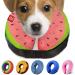 Ducomi inflatable hinges of the dog and cat - for operations relaxation of the animal - freedom in the event of movements and visibility - prevents scratches and bites (watermelon XL) XL watermelon
