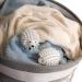 Smart Design Plastic Dryer Balls w/Spikes - Fabric Softener - Eliminates Wrinkles & Reduces Static - for Laundry Clothes Fabrics (2 Pack) Hedgehog  - Buy Online on GoSupps.com