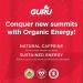 GURU | Original Plant-Based Energy Drink | Recharge with Good Energy from Green Tea | Natural & Organic Ingredients | Healthy Energy drinks to Help Stay Focused | Refreshing Taste | 8.4oz (Pack of 24) - Buy Online on GoSupps.com