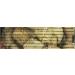 Nobby White-n-Tasty Knotted Bone 6.5 - 7.5 cm 160 g 15 Pieces 15 count (Pack of 1) - Buy Online on GoSupps.com