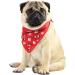 Red Nose Day Dog Bandana (Large) - Official Comic Relief Merchandise - Buy Online on GoSupps.com