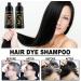 Dyceittdia 2-pack 3-in-1 Color Shampoo Hydrating and Repairing Hair Black 2 x 100ml for Colored Hair - Buy Online on GoSupps.com