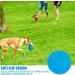 Buy Bite-Proof Dog Frisbee | 18 cm Natural Rubber Flying Disc | Ideal for Training Throwing & Water Play - Buy Online on GoSupps.com