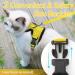 Rabbitgoo Cat Dishes & Soft Harness Set | No Breakout Cat Harness for Ultimate Comfort - Buy Online on GoSupps.com