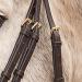 Buy Star WALDHAUSEN Bridle Diamond Brown for Warmbloods | Premium Quality Equestrian Gear Worldwide Shipping - Buy Online on GoSupps.com