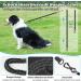 Buy Aystkniet Bungee Tow Leash for Dogs - Shock-Absorbing Padded Handle Reflective Lockable Hooks - 3m to 20m Options for Medium & Large Dogs - Buy Online on GoSupps.com