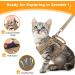 SALFSE Tactical Large Cat Harness & Leash Set with Molle Patches - Adjustable, Escape Proof, Easy Control - Beige - Buy Online on GoSupps.com