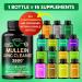 Mullein Leaf Extract 3500 mg 15-in-1 Lung Detox Supplement with Echinacea Oregano Quercetin & NAC Vegan Capsules & Tincture - USA Made Smokers Cleanse - Buy Online on GoSupps.com