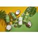 Alaffia Everyday Coconut Face Cleanser - Pure Coconut 12 fl oz (354 ml) | Natural Skincare - Buy Online on GoSupps.com