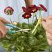 PETA Minis Ergonomic Scissors | Precision Cutting for All | Fast International Shipping - Buy Online on GoSupps.com