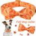 Aring Pet Autumn Dog Collar - Cute Yellow with Bow Adjustable Perfect for Small & Medium Dogs - Pack of 1 - Buy Online on GoSupps.com