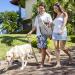Buy Lynee Adjustable Dog Carrier Bag - Breathable Pet Transport Shoulder Bag for Cats & Dogs - Ideal for Outdoor Walks & Excursions (Gray) - Buy Online on GoSupps.com