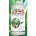 Buy Tomodachi Aloe Vera Juice for Dogs | Natural Nutritional Supplement & Feed Additive | 500ml Pure Gel Juice - Buy Online on GoSupps.com