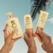 Sun Bum Daily SPF 50 Sunscreen Body Lotion | Vegan Hawaii 104 Compliant Broad Spectrum | Dermatologist Tested | 8 Fl Oz - International Shipping Available - Buy Online on GoSupps.com