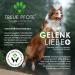 Loyaltypfote Joint Tablets for Dogs - 100 Count Made in Germany | MSM Green Lipped Mussel & Devil's Claw - 6 Month Supply - High Acceptance - Buy Online on GoSupps.com
