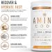 Amino Code: Essential Amino Acids & BCAAs with Coconut Water Electrolytes - Crushed Orange Workout Recovery & Hydration Drink - 40 Servings - Buy Online on GoSupps.com