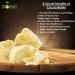 Natural Antiseptic Healing Cream - Soothes Skin Infections, Bed Sores, Wounds, Ulcers, Rashes, Burns - 4oz - Buy Online on GoSupps.com