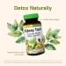 Herbs Etc. Kidney Tonic Softgels - Function Supplement - Natural with Dandelion Saw Palmetto & Parsley - 60 Softgels (60 Servings) - Buy Online on GoSupps.com