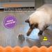 Petstages Squeak Squeak Mouse Plush Catnip Cat Toy - Buy Online on GoSupps.com