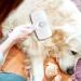 Crala Self Cleaning Slicker Brush- Pet Grooming Shedding Tool for Short & Long Haired Dogs & Cats- Removes Loose Undercoat, Mats & Tangles- White - Buy Online on GoSupps.com