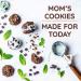 Maxine's Heavenly Mint Chocolate Chunk Soft-Baked Cookies - 7.2 oz (204g) - Buy Online on GoSupps.com