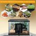 FIPASEN Reptile Heating Mat with Temperature Adjustment 8x12 Inch Terrarium Heat Mat for Tortoise/Snakes/Lizard/Gecko/Hermit Crab/Frog/Spider/Insect Breeding/Plant Box - Upgraded Reptile Heating Pad 8" X 12" with Adjust Knob - Buy Online on GoSupps.com