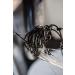 Mustad Classic 39944 Wide Gap Circle Hooks | Size 2, Pack of 50 | Black Nickel Finish | Ideal for Tuna, Catfish, Bass | Saltwater & Freshwater - Buy Online on GoSupps.com