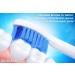 8 Pack Replacement Toothbrush Heads for Philips Sonicare ProResults | Fits DiamondClean & More HX6018 Former Version | by demirdental - Buy Online on GoSupps.com