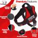 Personalized Pawpawify Dog Harness for XL Dogs - Prevent Pulling & Choking | Durable Adjustable & Ideal for Training & Walking (32-44in Red) - Buy Online on GoSupps.com