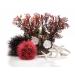 Biorb 48442 Decor Set 15l Red Forest - Aquaria decoration with realistic artificial aquatic plants roots and stones |For fresh water and sea water Red Forest 15 liters