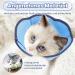 Xialvyu Foldable Protective Cat Collar - Adjustable Blue Restoration Neck Cone for Cats & Small Dogs Post-Surgery & Injury Care - Buy Online on GoSupps.com