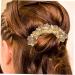 FRCOLOR Hair Accessory for Women Hair Jewels for Women Bride Hair Comb Hair Jewelry Hair Combs Rhinestone Hair Comb Hair Accessories Headgear Hair up Issue Card Miss Hair Piece Rhinestones - Buy Online on GoSupps.com