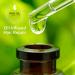 Macadamia Professional Nourishing Hair Repair Oil Treatment 4.2oz - Sulfate & Paraben Free, Natural Organic, Cruelty-Free, Vegan Hair Care - Buy Online on GoSupps.com