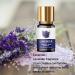 Buy 100% Organic Essential Oils Set - Lavender Ylang Ylang Tea Tree & Eucalyptus for Diffusers Home & Candle Making - Buy Online on GoSupps.com