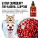 10-in-1 Cat & Dog Multivitamin with Hip & Joint Support - Vitamins C, D, B1-12 - Cranberry Supplement for Bladder, Kidney, Skin - Glucosamine Dog Supplement - Buy Online on GoSupps.com
