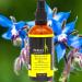 Feelia Organic Borage Oil - Cold Pressed, Rich in Omega 6 - 100ml - Buy Online on GoSupps.com