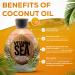 Vitamin Sea Natural Bronzer Tanning Lotion - DHA-Free Coconut Oil Formula for Sensitive Skin | Streak-Free Bronzing Accelerator 13.5oz - Safe for Indoor Tanning Beds - Buy Online on GoSupps.com