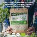 LOOV Organic Raw Shelled Hemp Seeds Hemp Hearts 1kg Not Heat-Treated All Nutrients Preserved Nutty Flavour Organically Grown in Nordic Climate Good Source of Protein and Omega Fatty Acids - Buy Online on GoSupps.com