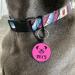 Dog Tag Personalised Dog Name Tag Custom Dog ID Tag Dog Tags for Pets Engraved Silicone Dog Tag for Cat Pet Dog Puppy Personalised Dog Collar for Cats Dogs (Pink Round) - Buy Online on GoSupps.com