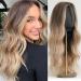 HAIRCUBE Long Hair Wigs for Women Ombre Color Brown to Blonde Synthetic Curly Middle Parting