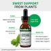 NutraMedix Stevia Microbial Support - 1 fl oz (30 ml) | Natural Probiotic Supplement - Buy Online on GoSupps.com