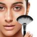 SKYPIA Professional Large Fan Makeup Brush - Blush, Bronzer, Highlighting Tool - Buy Online on GoSupps.com