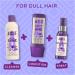 Aussie Smooth Hair Oil - 3 Miracle Blend for Frizzy Hair 100ml - Buy Online on GoSupps.com