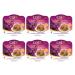 Catit Fish Dinner with Salmon & Green Beans 80 g (Pack of 6) Cat Food Wet Cat Food Cat Food Wet Nourriture Pour Chat Cat Wet Food Chat Kitten Food Kitten Wet Food Canned Cat Food