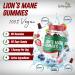 Lion's Mane Gummies 2000mg for Adults - Mixed Berry Flavor - 60 Day Supply - Buy Online on GoSupps.com