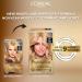 L Or al Paris Superior Preference 9 weeks of Luminous Fade-Defying Permanent Hair Dye 38 Light Golden Blonde 100% Grey Coverage 1 Hair Dye Kit (Packaging May Vary) Light Golden Blonde 1 Count ( Pack Of 1 ) - Buy Online on GoSupps.com