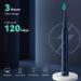 Sejoy Sonic Electric Toothbrush with 8 DuPont Brush Heads | 120 Days Battery Life | 5 Modes, Smart Timer, IPX7 Waterproof | Blue - Buy Online on GoSupps.com