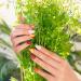 Heyhae Bandes d'ongles en gel semi-durci - Pas besoin de lampe LED - Fleurs rouges d' t - Facile appliquer et enlever - Qualit salon - 28 bandes - 1 tampon de pr paration et lime ongles - Buy Online on GoSupps.com